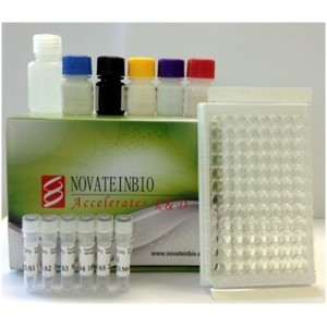 Human Antictrullinated Fibrinogen Antibody, CFG.AB ELISA Kit