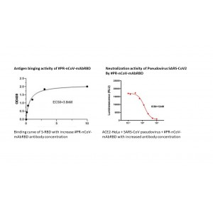 2019-nCoV Spike protein RBD antibody