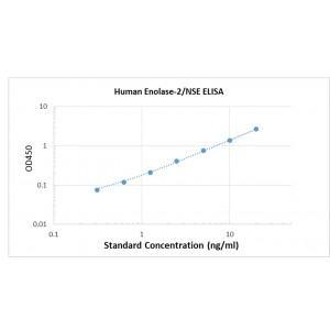 Human Enolase 2/ Neuronspecific Enolase (NSE) ELISA Kit