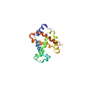 Protein A/G Recombinant ( Protein A/G )