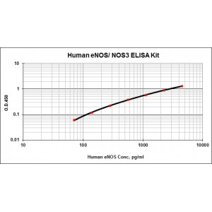 Human eNOS/ NOS3 ELISA Kit